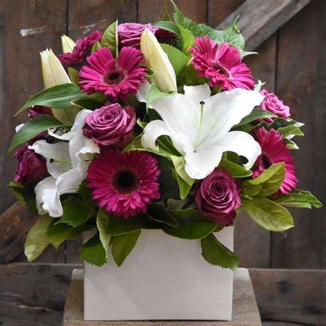 Magenta Box Scotts Florist Sutherland Shire Order Online 247