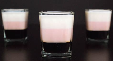 Pudding Shot Recipes With Tequila Rose | Bryont Blog