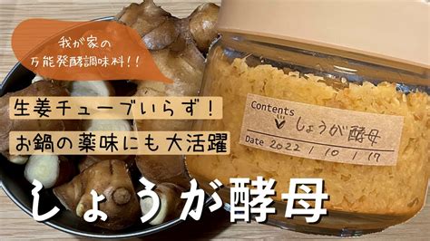 《19歳料理女子》我が家の万能発酵調味料【しょうが酵母の作り方】生姜チューブいらず！🌿生姜レシピ・手作り薬味 Youtube