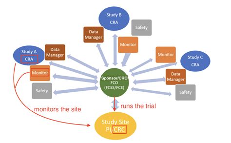 Clinical Research Associate Vs Coordinator Cra Vs Crc Ccrps