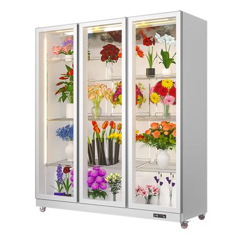 Flower Preservation Cabinets: Extending the Lifespan of Fresh Blooms ...