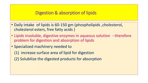 Digestion And Absorption Of Lipids Ppt