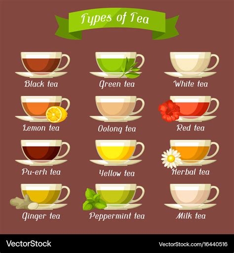 Types Of Tea Set Of Glass Cups With Different Vector Image