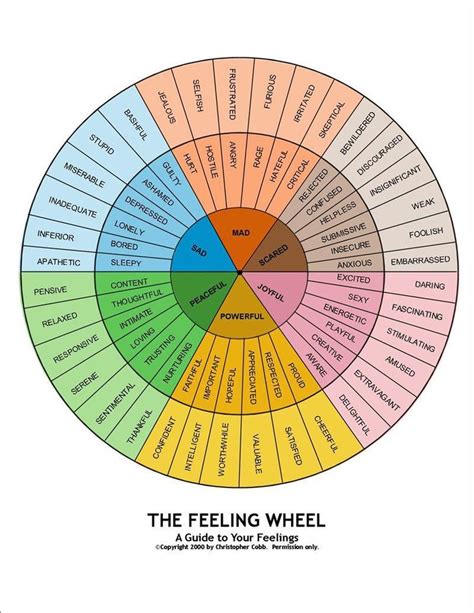 20 Primary And Secondary Emotions Emotional Resilience Emotions Wheel Feelings Wheel