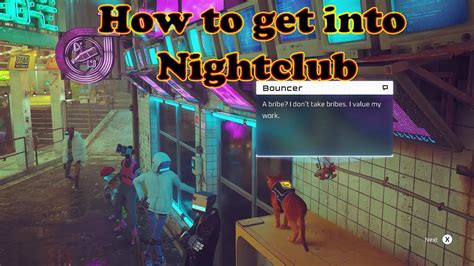 Stray How To Get Inside The Nightclub To Meet Clementine