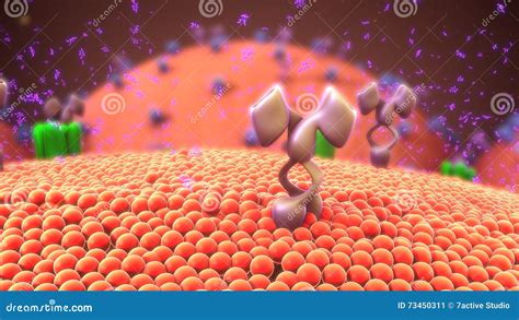 Cellular Membrane With Receptors Royalty-Free Stock Photography | CartoonDealer.com #83006765