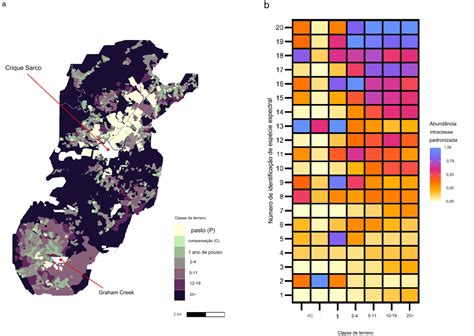 Agricultura De Corte E Queima Pode Elevar A Biodiversidade Florestal