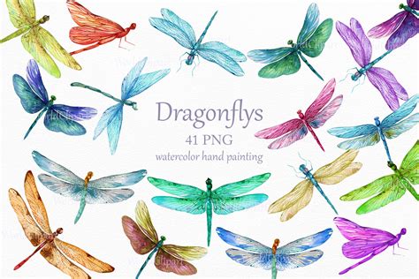 Dragonflys Png Dragonfly Watercolor Digital Dragonflys Dragonfly Cl