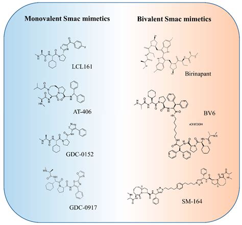 Applied Sciences Free Full Text An Updated Review Of Smac Mimetics