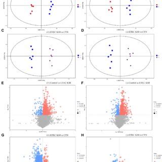 LC MS Metabolite Principal Component Analysis And Metabolite