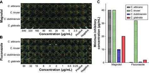 The Inhibitory Effects Of Magnolol On Planktonic Mode Candida Cells