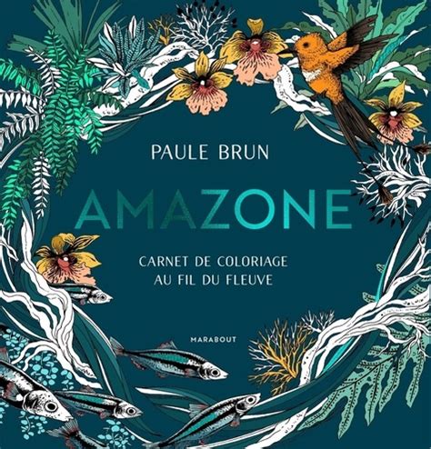 Amazone Carnet De Coloriage Au Fil Du Fleuve Paule Brun