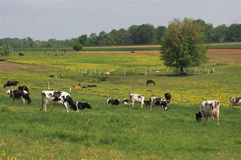 What Beginning Farmer And Rancher Development Program