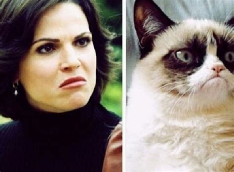 Regina Mills Vs Grumpy Cat P Once Upon A Time Funny Ouat Funny Ouat Funny Memes