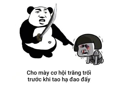 Ảnh meme đánh nhau, meme mèo đánh nhau troll bạn bè - Coolmate