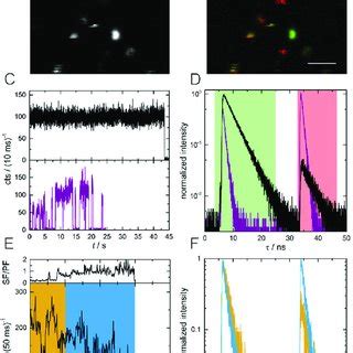 A Fluorescence Intensity Image Of Single DNA AgNCs Embedded In PVA