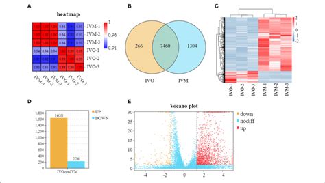 Global Transcriptomes Characteristics Between Mouse Ivm And Ivo