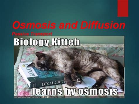 Osmosis and Diffusion Passive Transport Osmosis and Diffusion