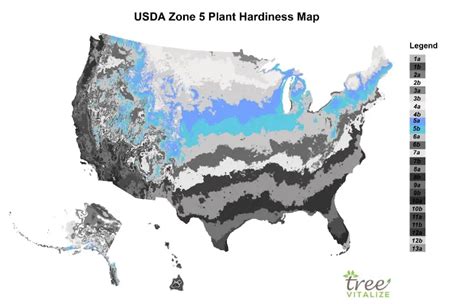 USDA Zone 5: Where is it? What to Plant? Tips to Success