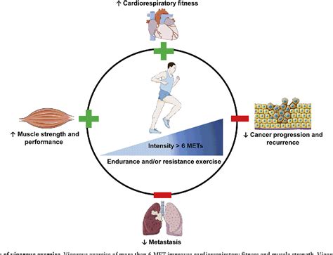 Figure 1 From Exercise Shapes Redox Signaling In Cancer Semantic Scholar