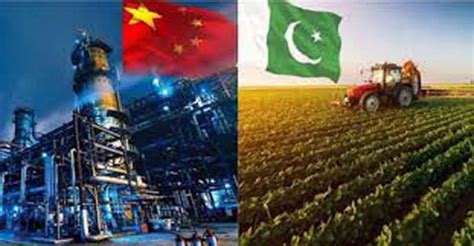 Pakistan Can Boost Agricultural Output With Chinese Tech Cooperation