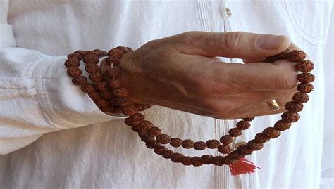 Rudraksha Mala Wearing Rules And Benefits In Hindi किन्हें नहीं धारण