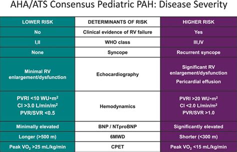 Pediatric Pulmonary Hypertension Circulation