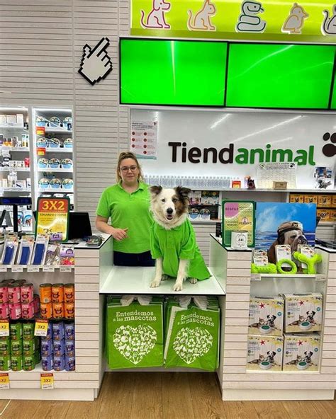 Se Permiten Perros En La Oficina De Correos