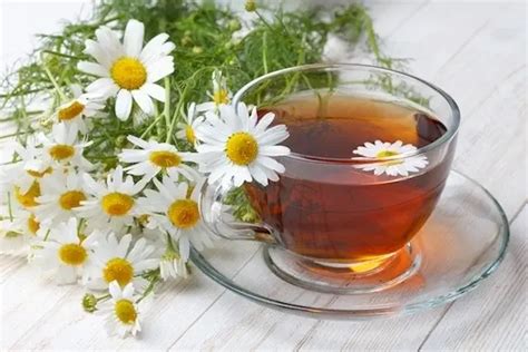 8 Beneficios del Té de Manzanilla Guía Femenina