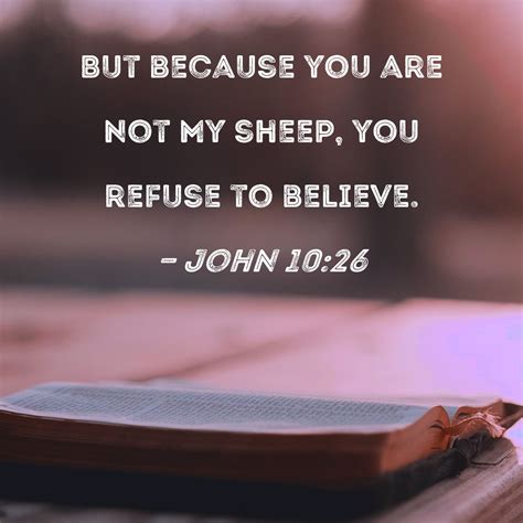 John 10:26 But because you are not My sheep, you refuse to believe.
