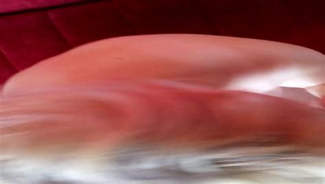 Free Serbian MILF Porn Videos XHamster