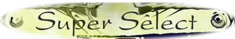 Super Select – Ihr Pool Profi