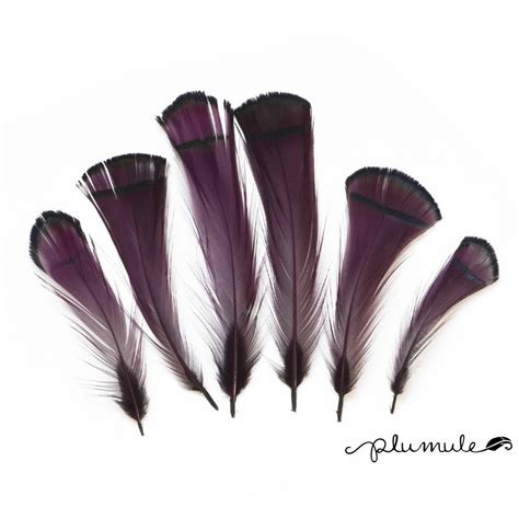 Pheasant Feathers Natural Lady Amherst Pheasant Tippet Etsy