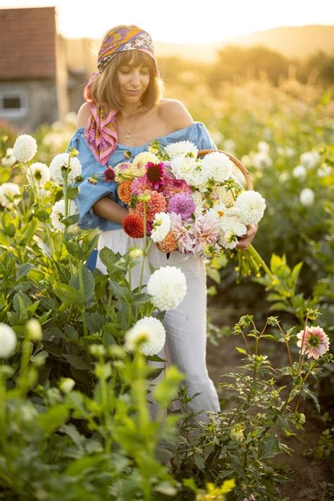 Woman With Lots Of Flowers On Dahlia Farm Outdoors Stock Image Image