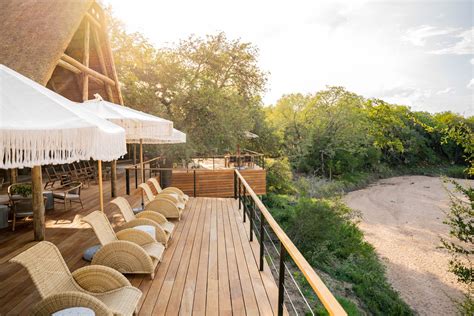 Le Nostre Destinazioni Thornybush Riserva Di Caccia Kruger Park