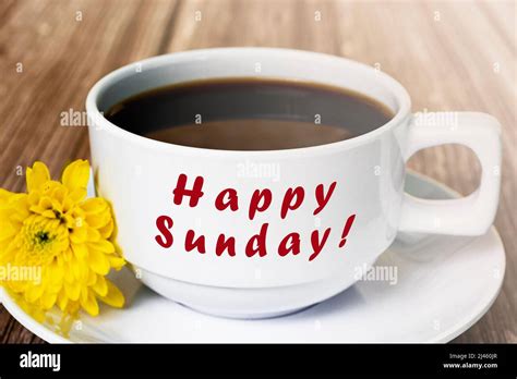 Happy Sunday Text On White Coffee Cup With Yellow Flower Beautiful