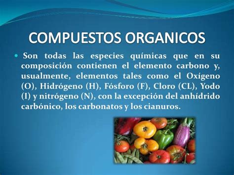 Ejemplos De Compuestos Organicos