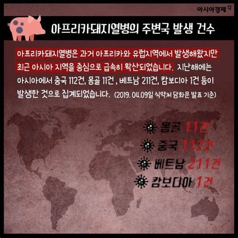 카드뉴스 돼지열병 비상 삼겹살 먹어 말어 네이트 뉴스