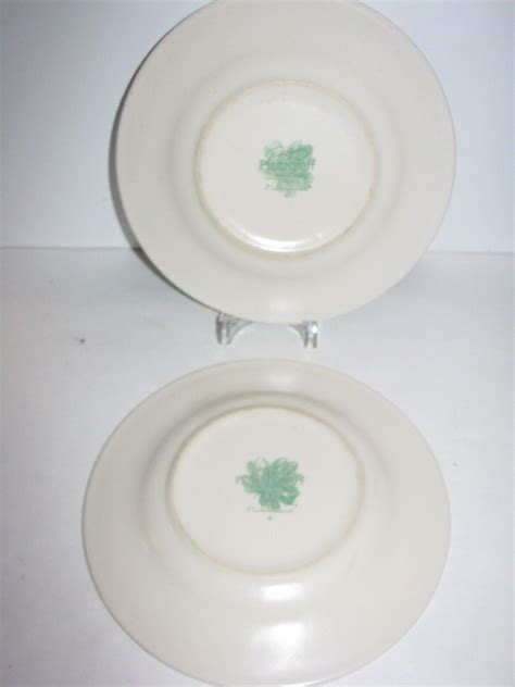 Pfaltzgraff Naturewood Salad Plate Set Of Water Can