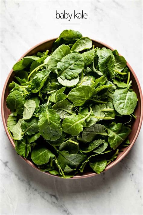 Types of Kale: 7 Common Varieties + How To Use Them