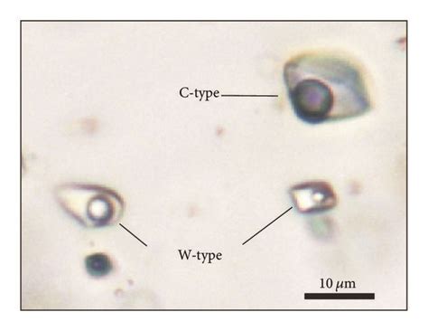 Photomicrographs Showing Typical Fluid Inclusions Observed In The