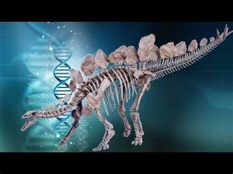 Dokaz Stvaranja Dinosaurusi U Uglju Youtube