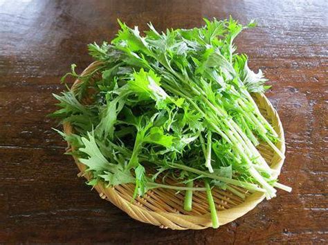 Капуста японская Русалочка (Brassica rapa ssp. nipposinica)