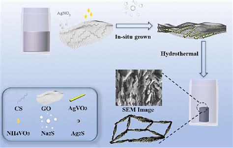 Scheme 1 Schematic Diagram Of The Fabrication Route For The Ag 2
