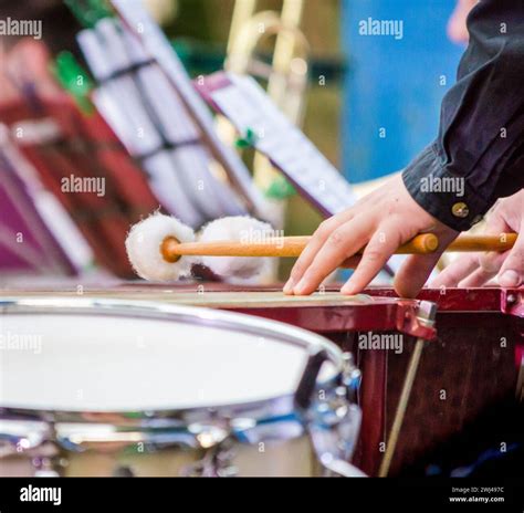 Male Musician Drummer Hands With Drumsticks And Drum Close Up Stock