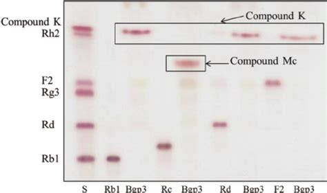 Transformation pathway from ginsenoside Rb1 to ginsenoside Rd and ... 