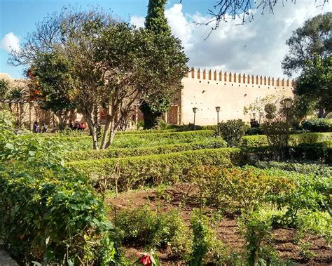 THE 15 BEST Things to Do in Rabat (2025) - Must-See Attractions