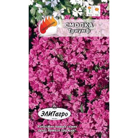 Смолка Ампельная махровая Триумф А/А Элит Агро в Санкт-Петербурге