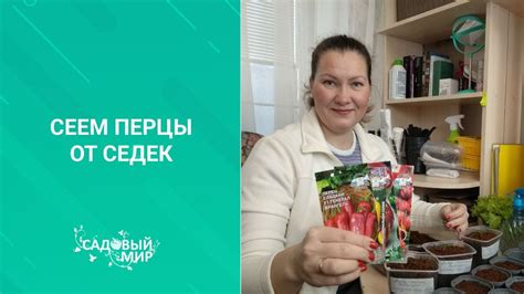 Посев семян перца в феврале 2020. Как это делаю я. Всегда крепкая ...