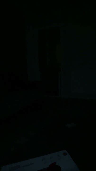 Haunted House Orbs My Haunted House Visitors Ghost Of My House Spirits Enjoying My Home